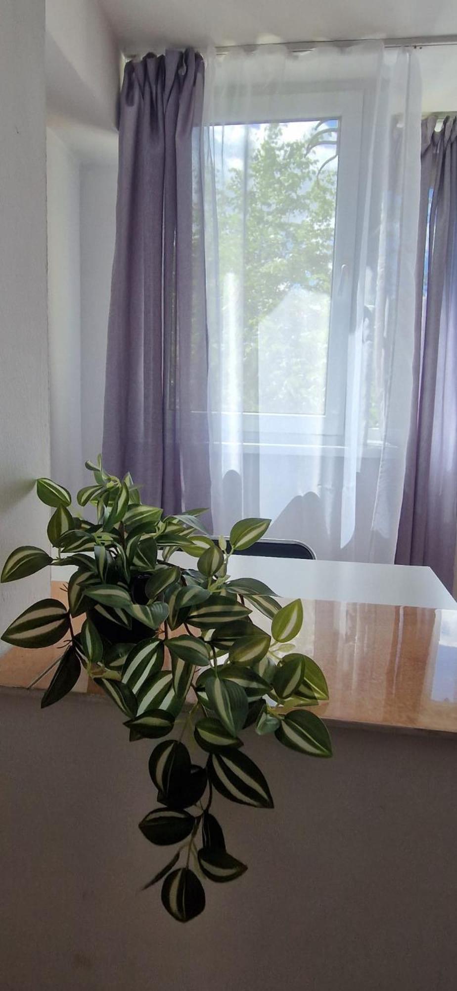 Stephanie Apartment-Centru Civic Брашов Экстерьер фото